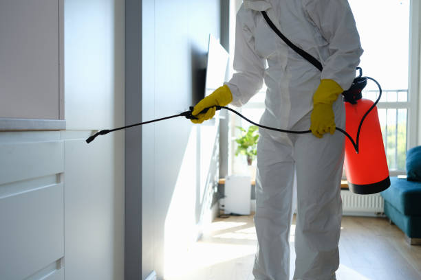 Best Office Mold Removal Services  in Ashville, OH