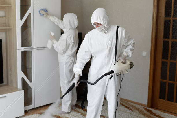 Best Commercial Mold Removal  in Ashville, OH